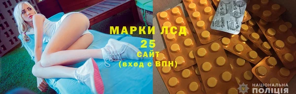 стаф Богданович