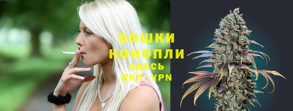 сатива Богородицк