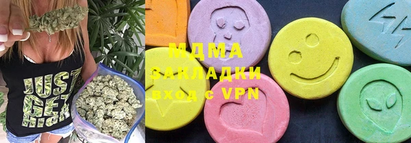 стаф Богданович