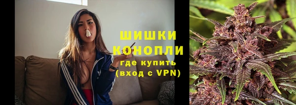 стаф Богданович